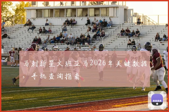 马刺新星文班亚马2026年关键数据，手机查询指南