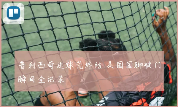 普利西奇进球荒终结 美国国脚破门瞬间全记录