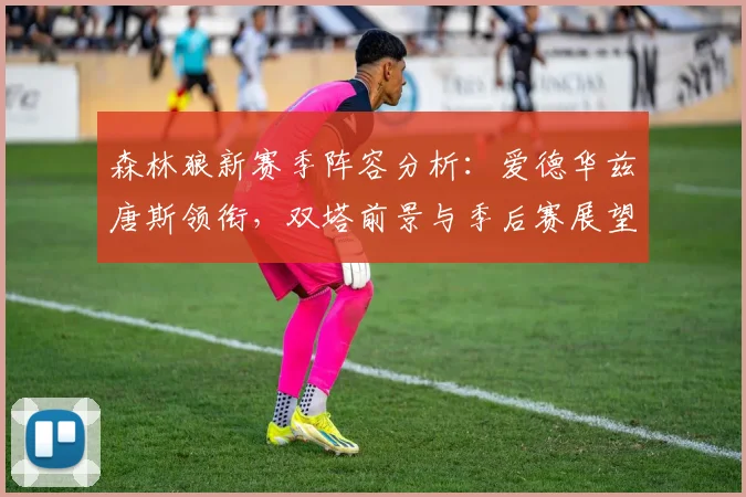 森林狼新赛季阵容分析：爱德华兹唐斯领衔，双塔前景与季后赛展望