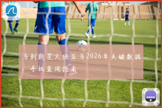 马刺新星文班亚马2026年关键数据，手机查询指南